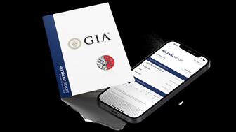 The printed version of the AGS Ideal Report Printed and digital AGS Ideal grading reports