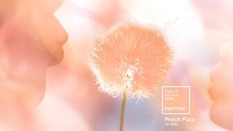 Pantone’s color of the year for 2024 is “Pantone 13-1023 Peach Fuzz.” Pantone color of the year 2024