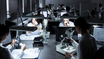 Grading labs IGI and GIA are now offering, in limited capacity, a same-day service to verify if a diamond is lab-grown or natural. Both labs said they plan to expand the service in the near future. Diamond grading lab