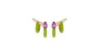 Bea Bongiasca’s Double Loop Earrings