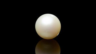 A buyer from Scotland paid £75,000 ($98,344) plus buyer’s premiums for the Abernethy Pearl, the largest Scottish freshwater pearl discovered in recent history. (Photo credit: Alex & Turnbull/Alex Robson) Abernethy Pearl in loose form